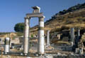 Efes